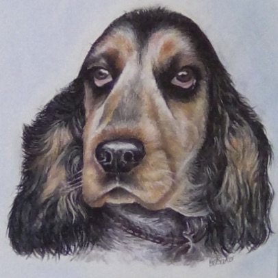 Bertie