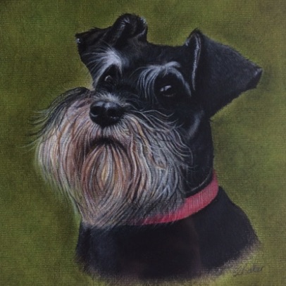 Dottie