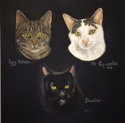 Izzy Kitten, Mr Squiggles and Shadow