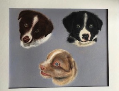 Rosie, Meg and Kody