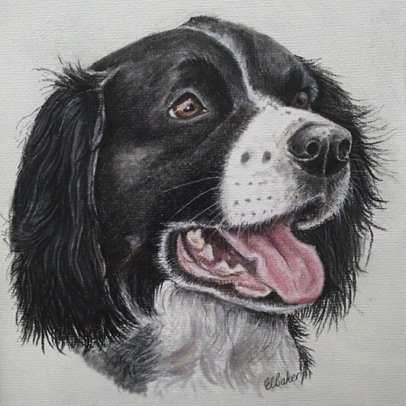 Maggie