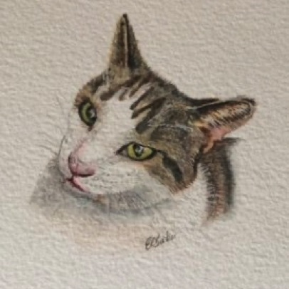 Tango