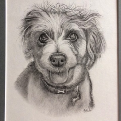 Monty in Pencil