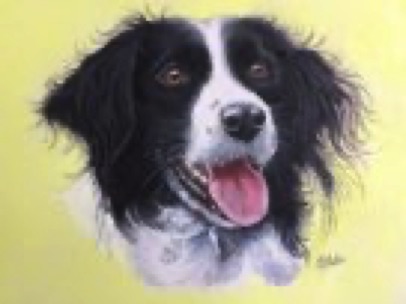 Tilly